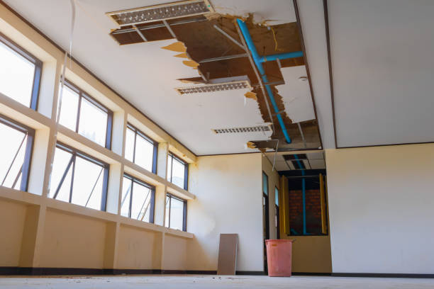 Best Water damage restoration specialists  in Fayetteville, WV