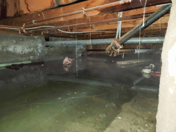 Carpet water damage restoration in Fayetteville, WV
