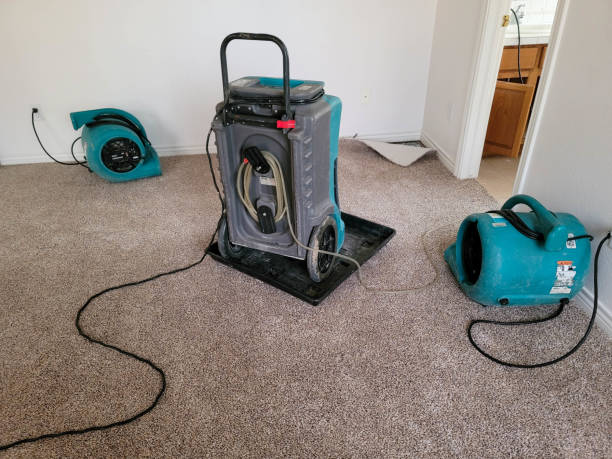 Best Residential water damage restoration  in Fayetteville, WV