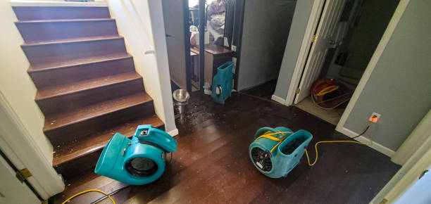 Best Professional water damage repair  in Fayetteville, WV
