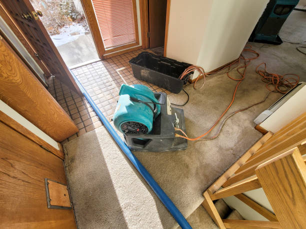 Best Residential water damage restoration  in Fayetteville, WV