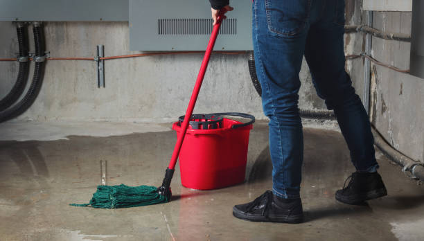 Best Water damage cleanup near me  in Fayetteville, WV