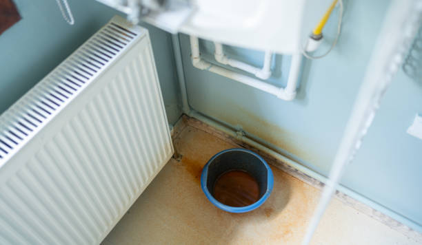 Best Water damage cleanup near me  in Fayetteville, WV