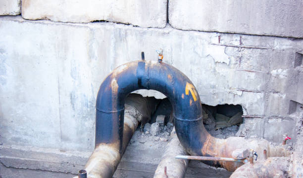 Best Professional water damage repair  in Fayetteville, WV