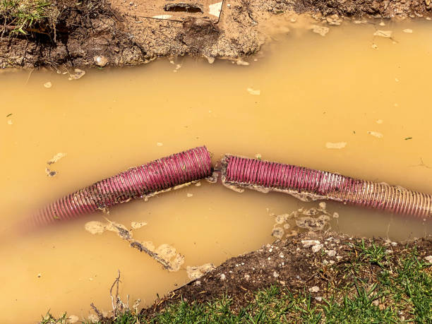 Best Carpet water damage restoration  in Fayetteville, WV